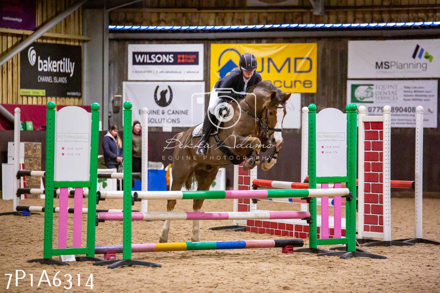 Home Farm Jumping 11th January 2025 - Juniors