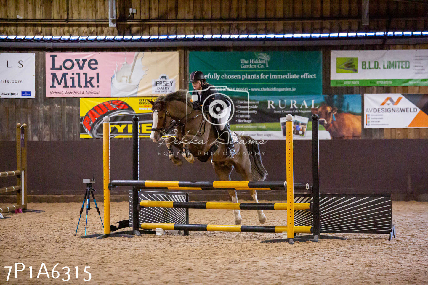 Home Farm Jumping 11th January 2025 - Juniors