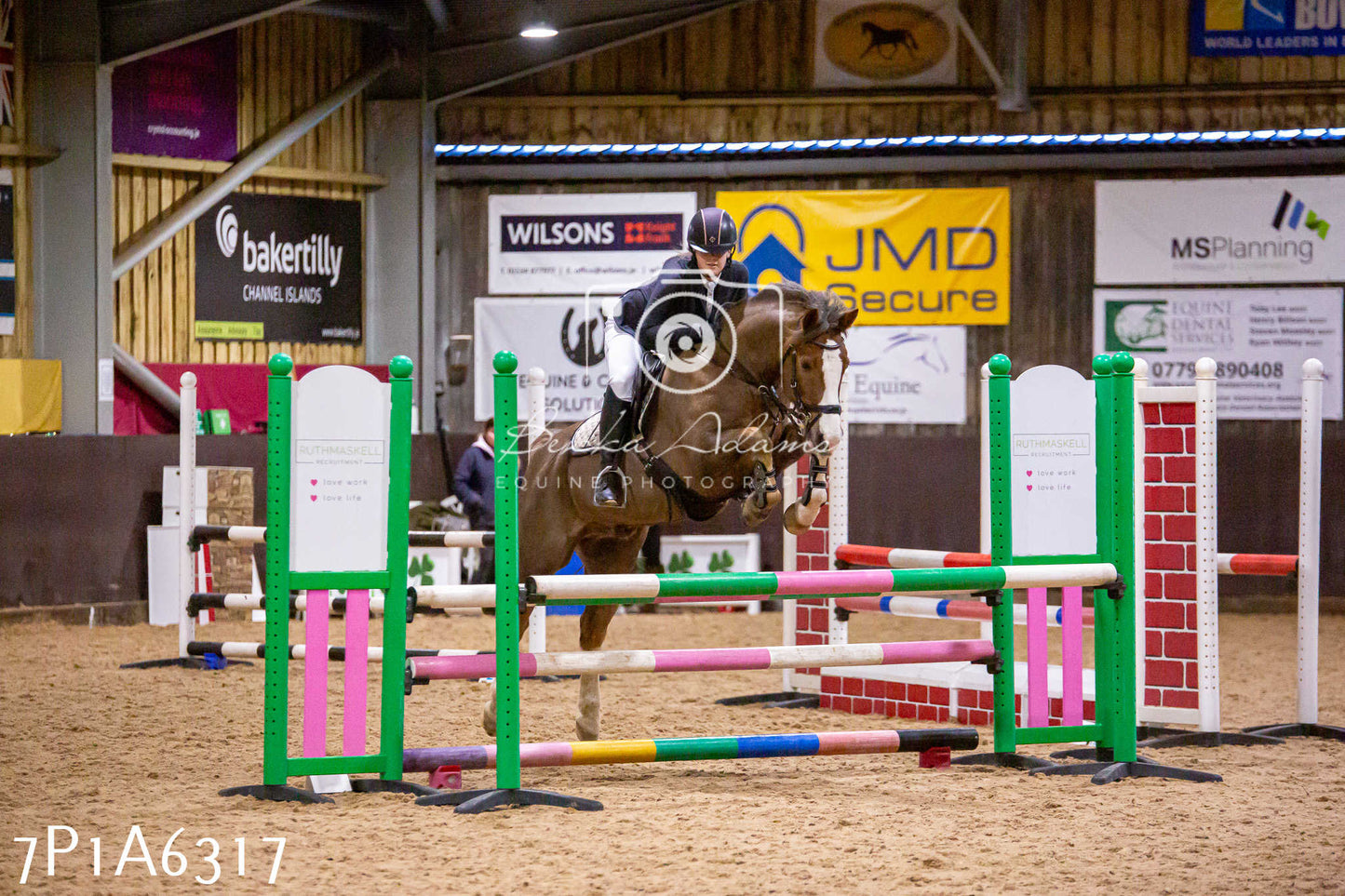 Home Farm Jumping 11th January 2025 - Juniors