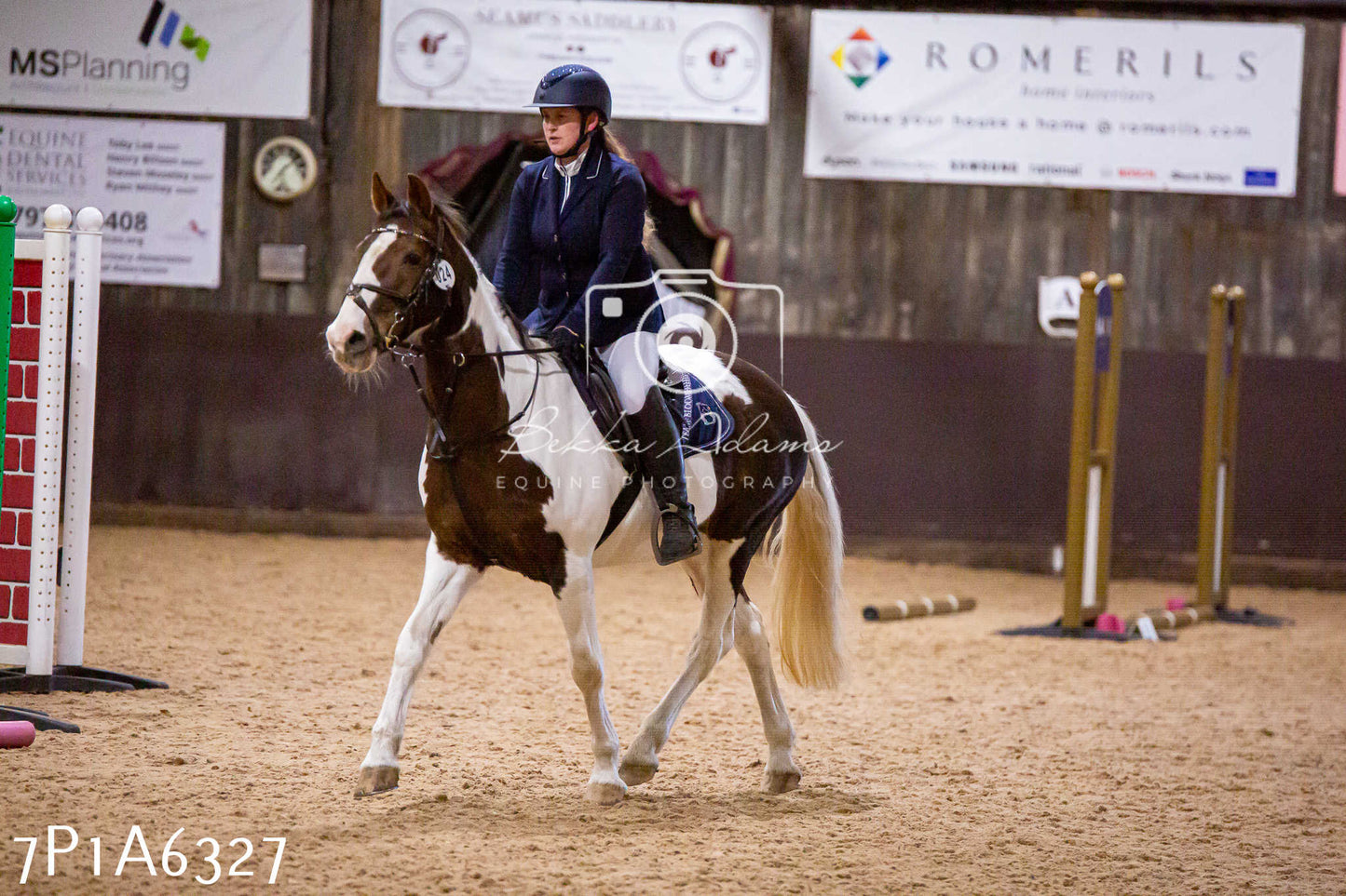 Home Farm Jumping 12th January 2025 - Seniors