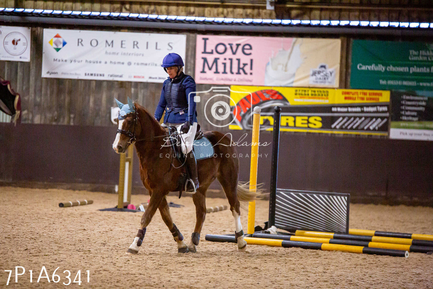 Home Farm Jumping 12th January 2025 - Seniors