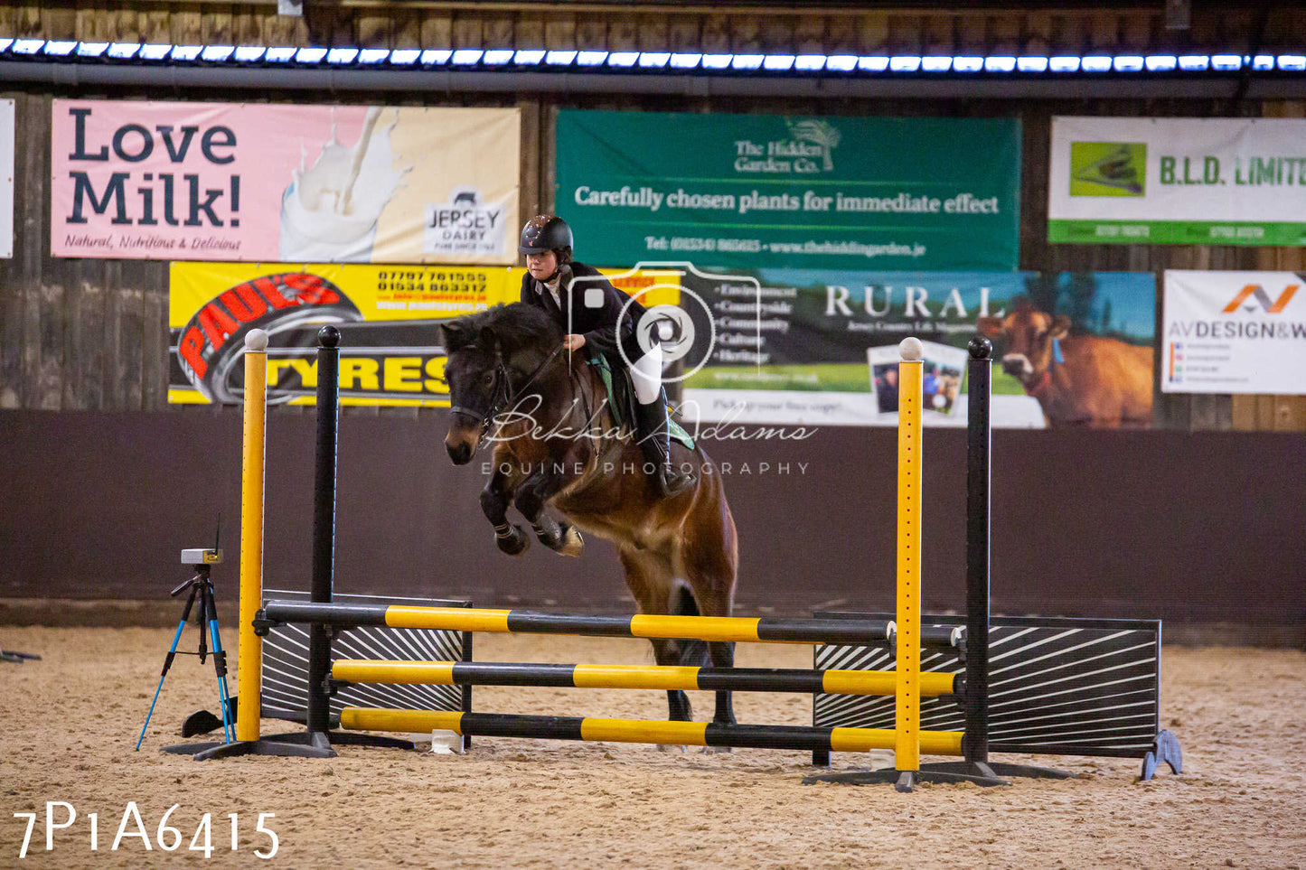 Home Farm Jumping 12th January 2025 - Seniors