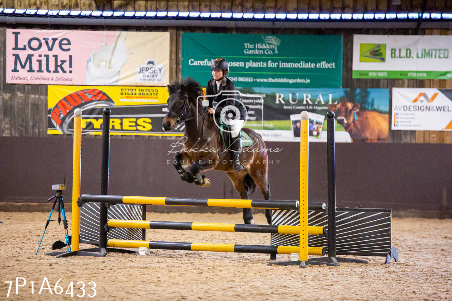 Home Farm Jumping 12th January 2025 - Seniors