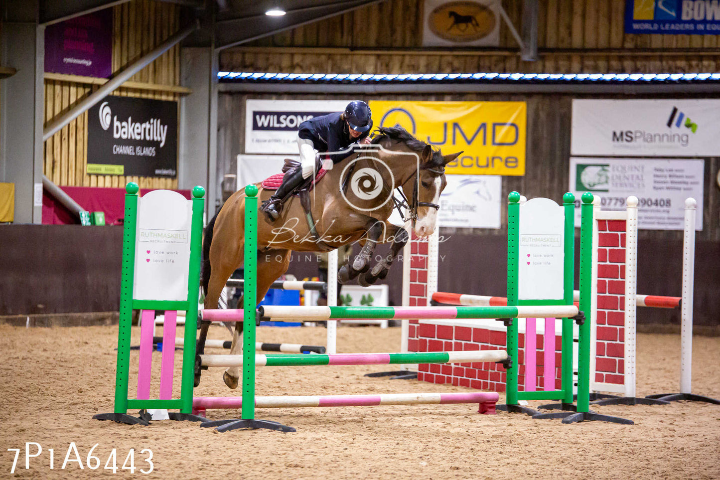 Home Farm Jumping 12th January 2025 - Seniors