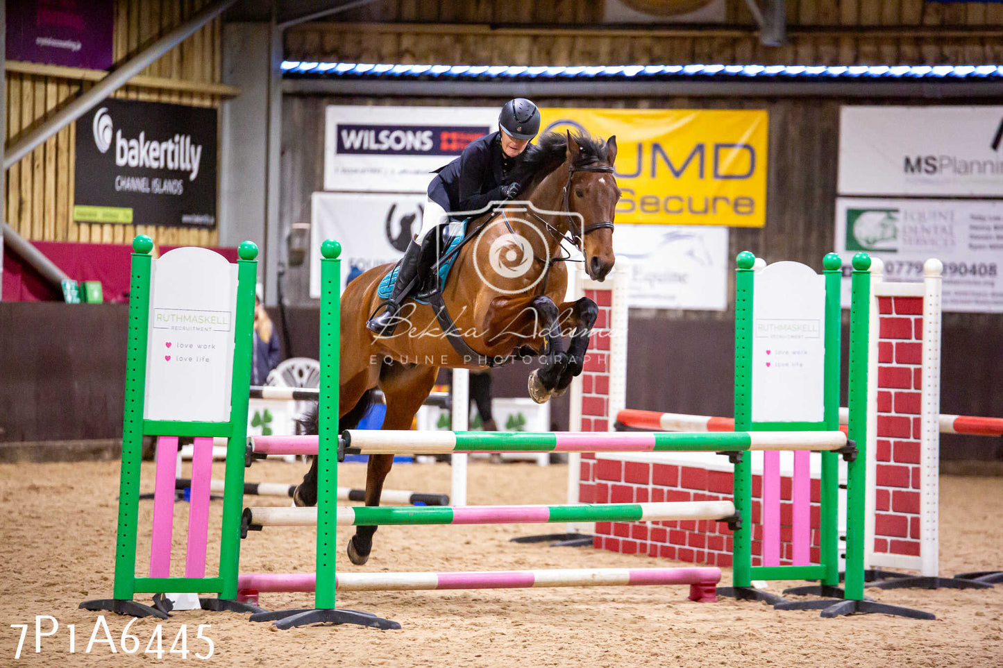 Home Farm Jumping 12th January 2025 - Seniors