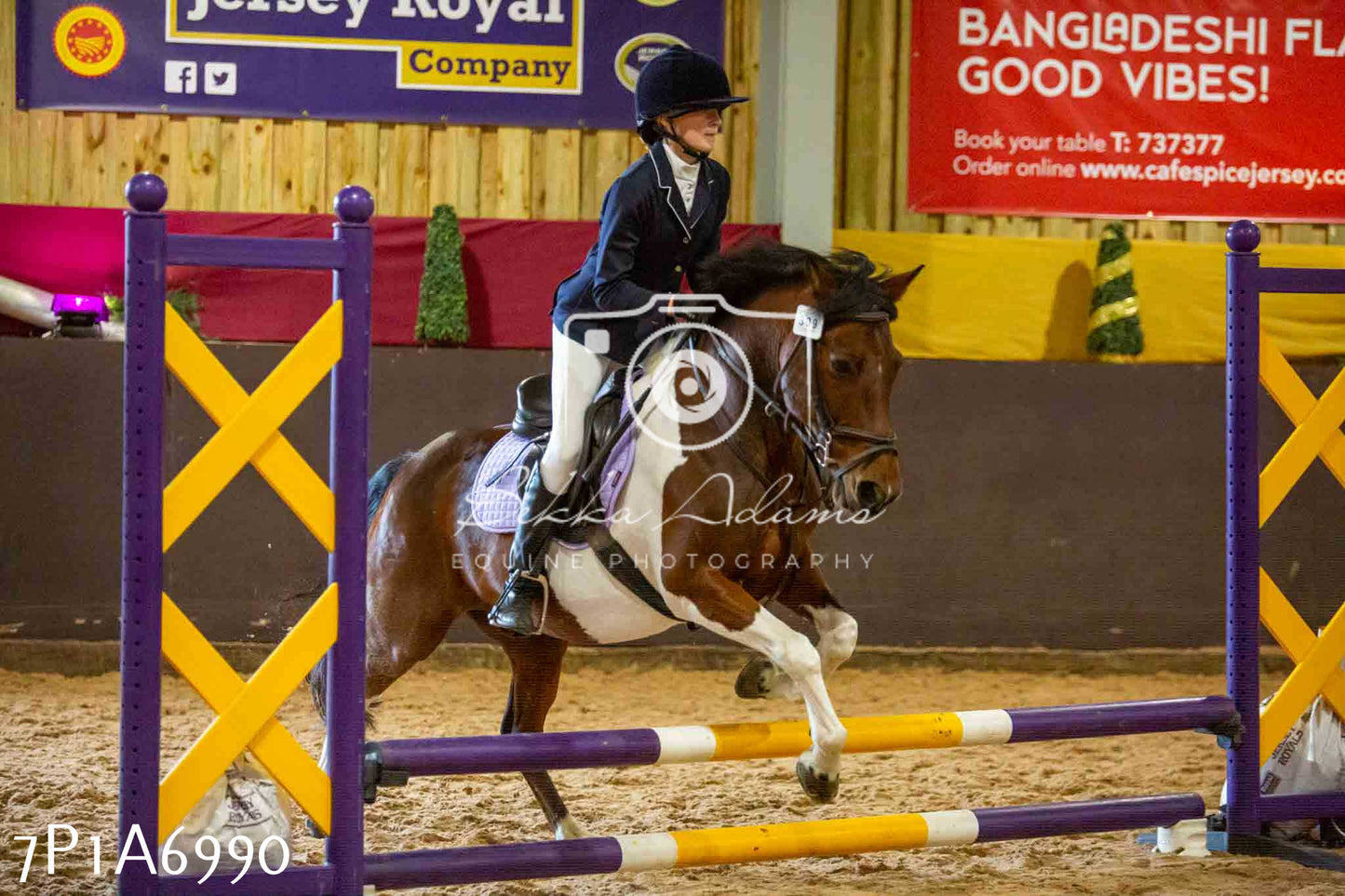 JHOYS 2023 - 16th September - Show Jumping Pt 2