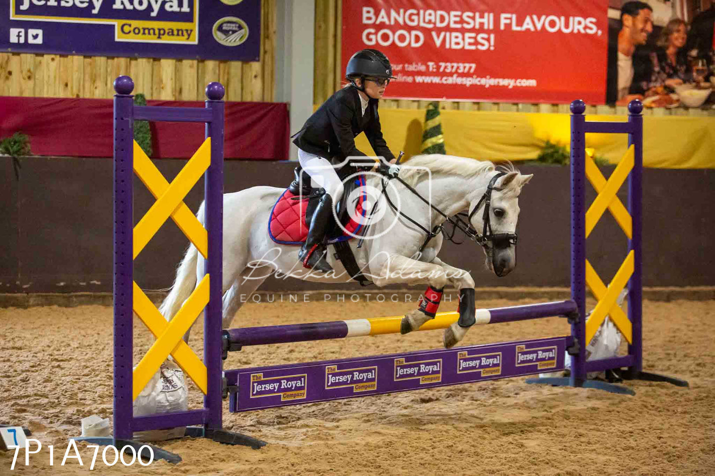 JHOYS 2023 - 16th September - Show Jumping Pt 2