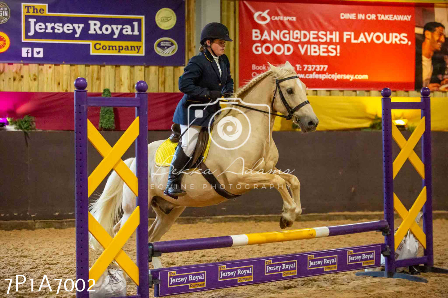 JHOYS 2023 - 16th September - Show Jumping Pt 2