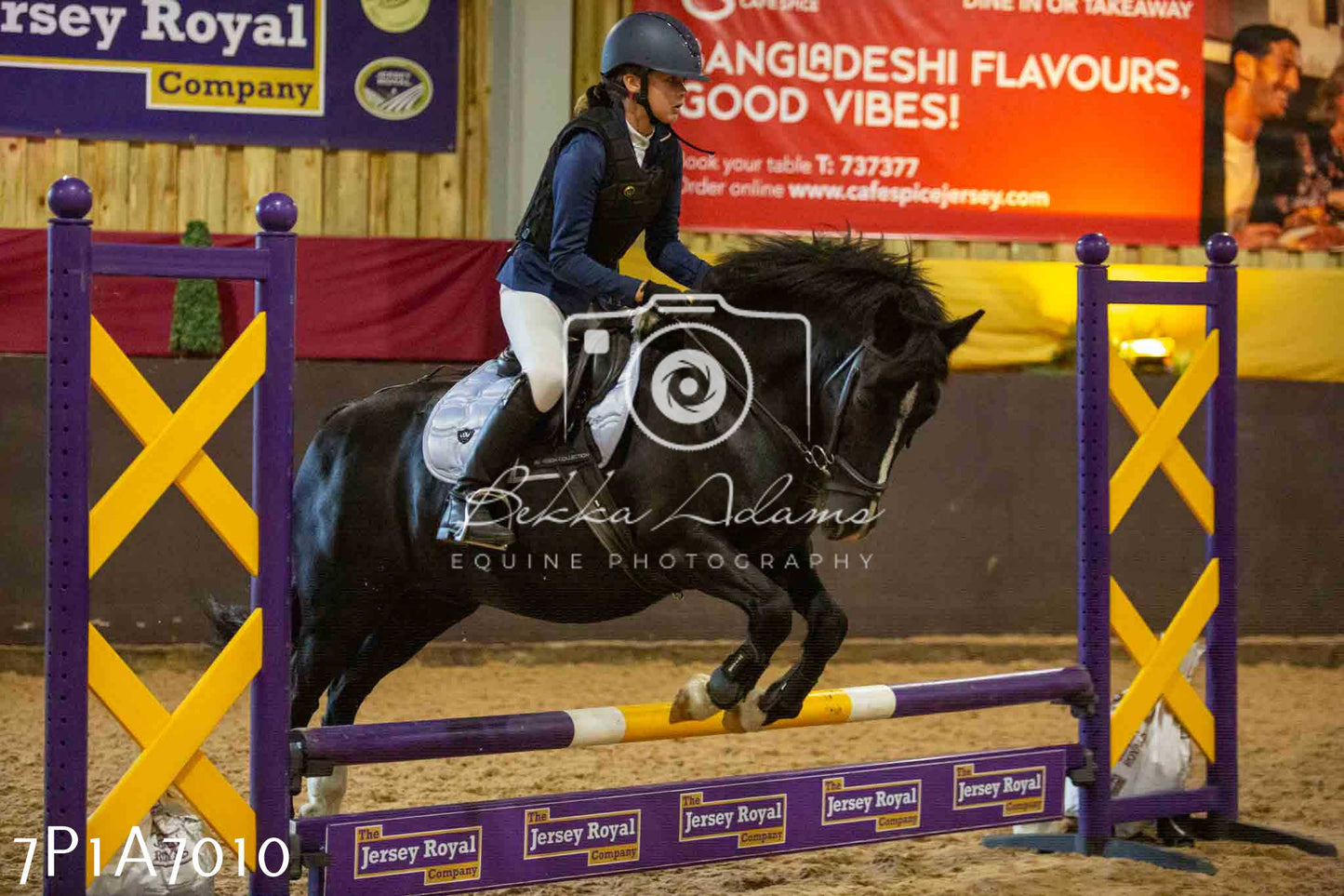 JHOYS 2023 - 16th September - Show Jumping Pt 2