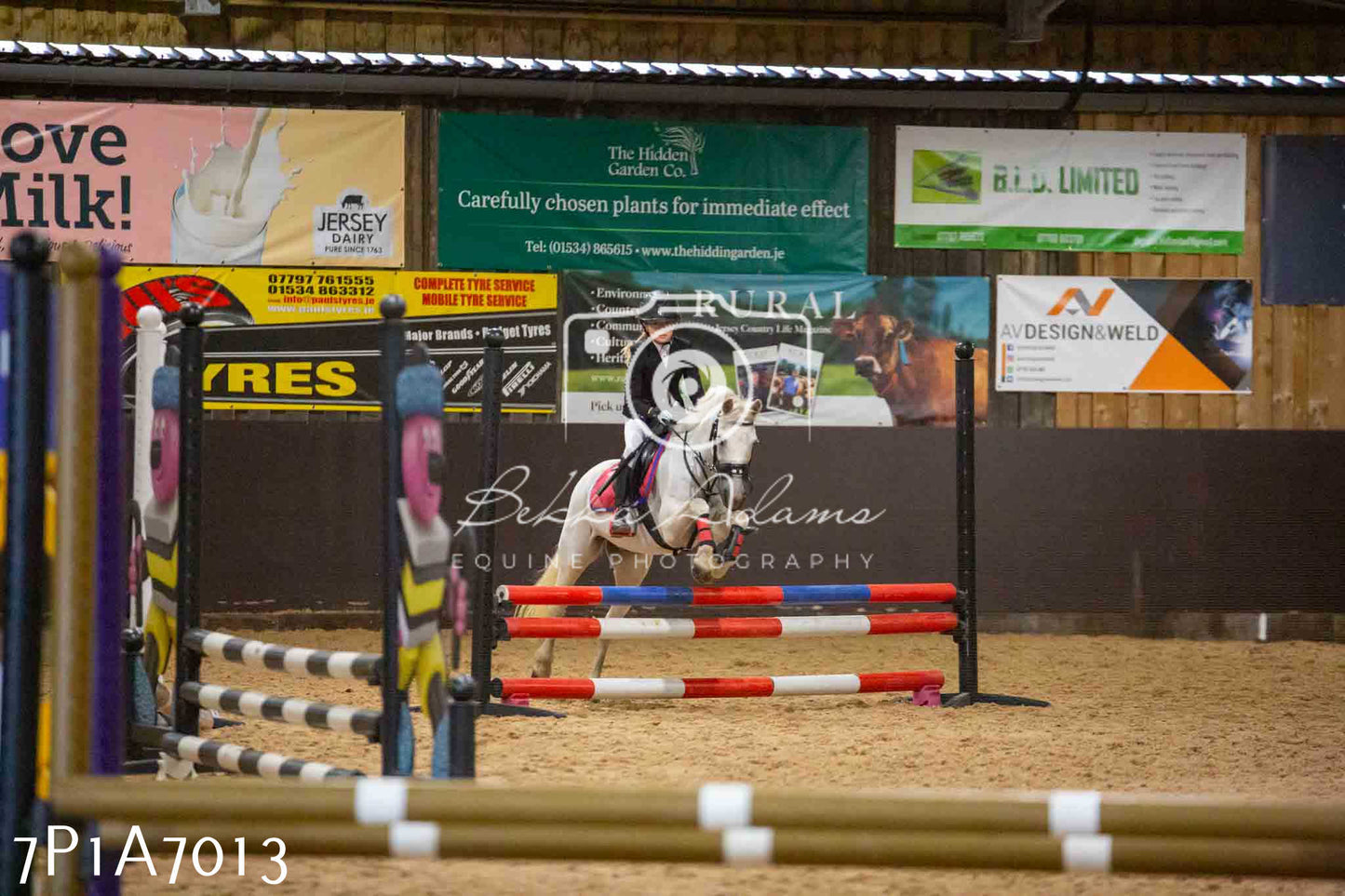 JHOYS 2023 - 16th September - Show Jumping Pt 2