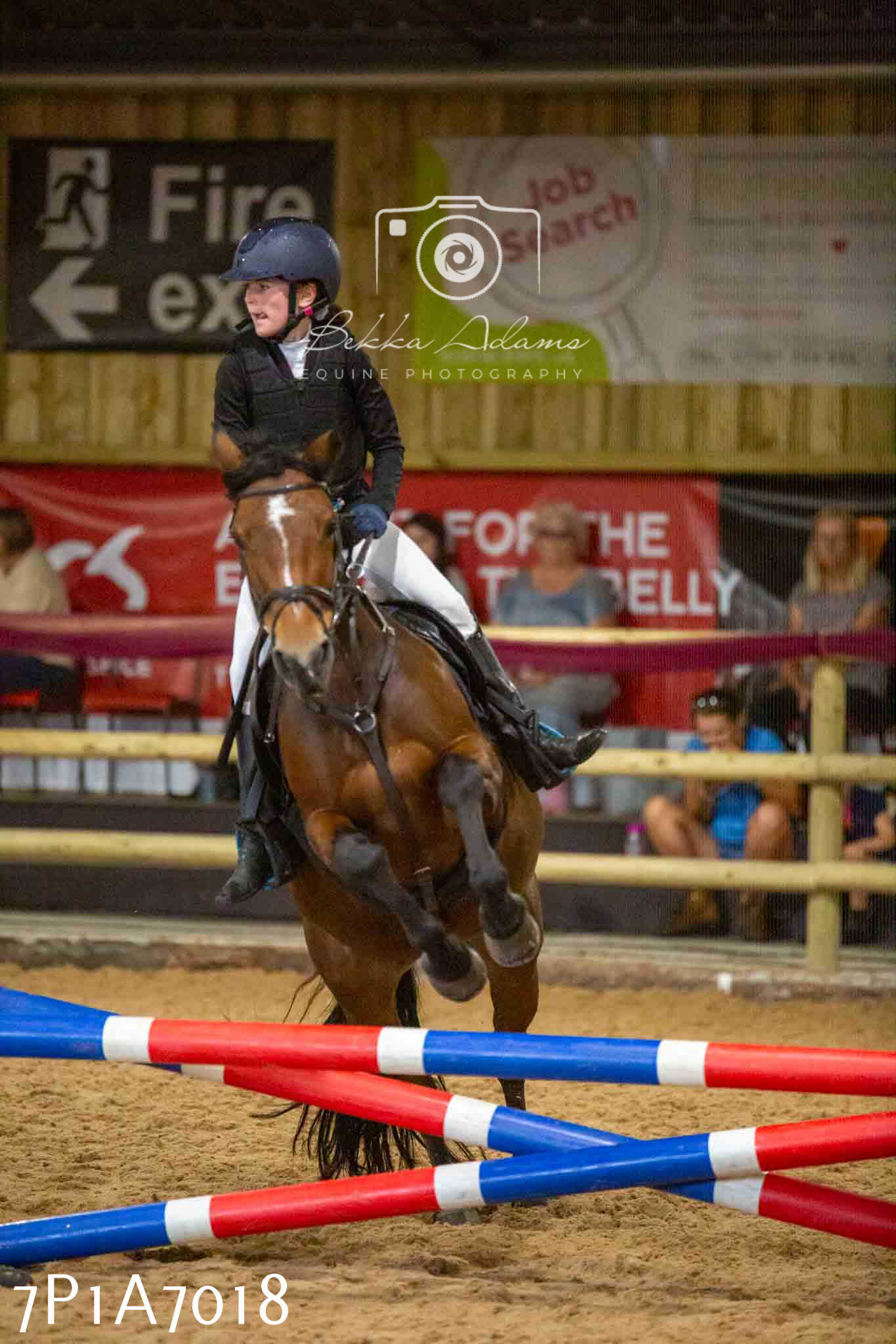 JHOYS 2023 - 16th September - Show Jumping Pt 2