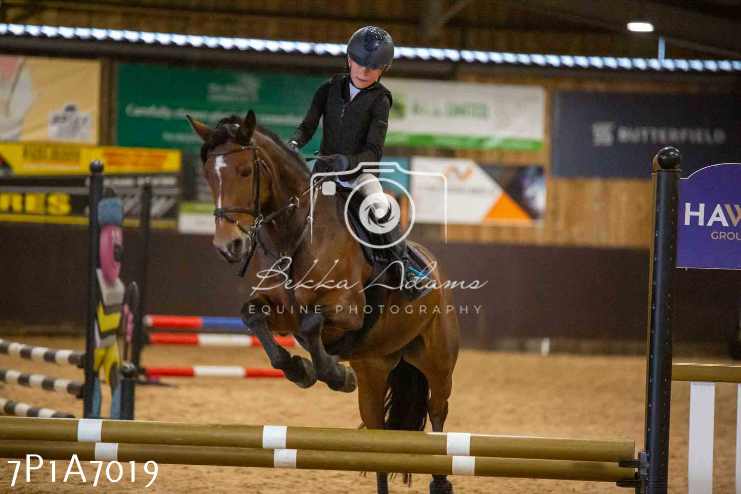 JHOYS 2023 - 16th September - Show Jumping Pt 2