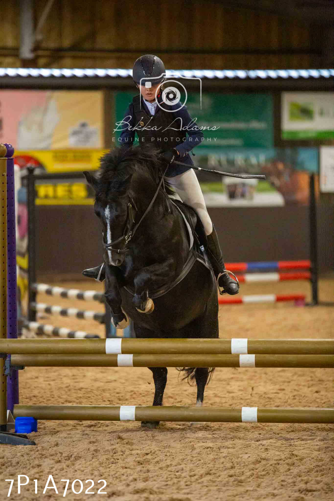 JHOYS 2023 - 16th September - Show Jumping Pt 2