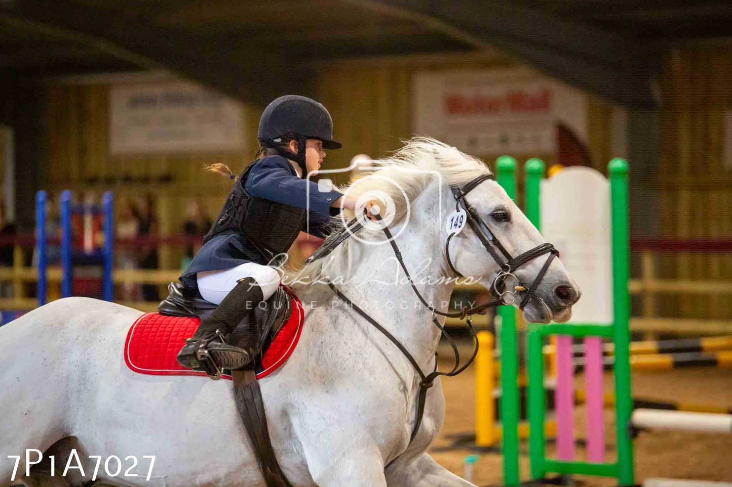 JHOYS 2023 - 16th September - Show Jumping Pt 2