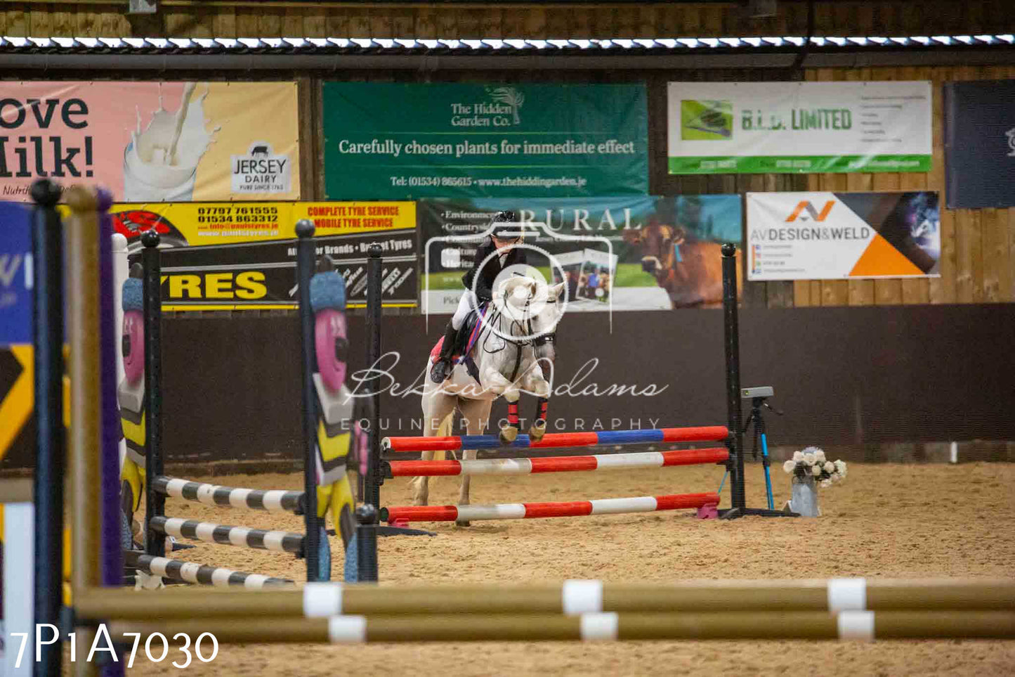 JHOYS 2023 - 16th September - Show Jumping Pt 2