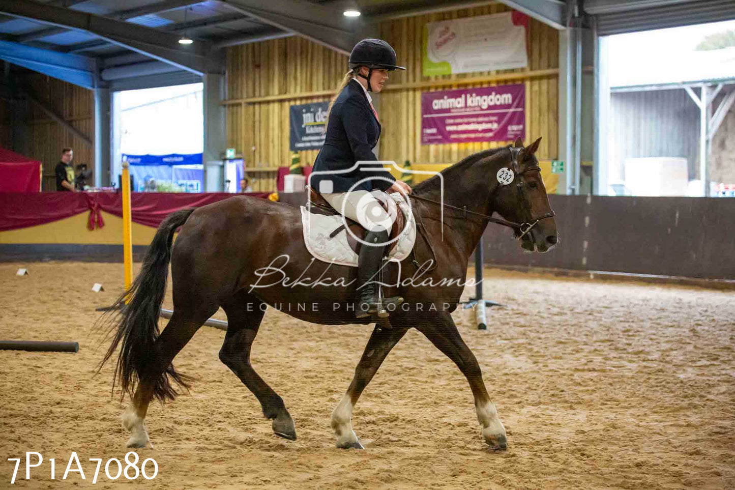 JHOYS 2023 - 16th September - Show Jumping Pt 2