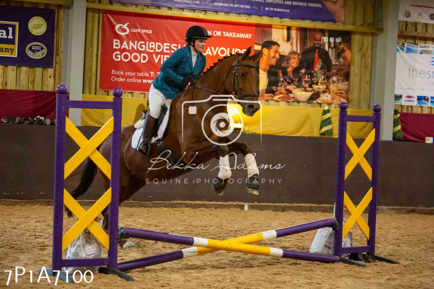 JHOYS 2023 - 16th September - Show Jumping Pt 2