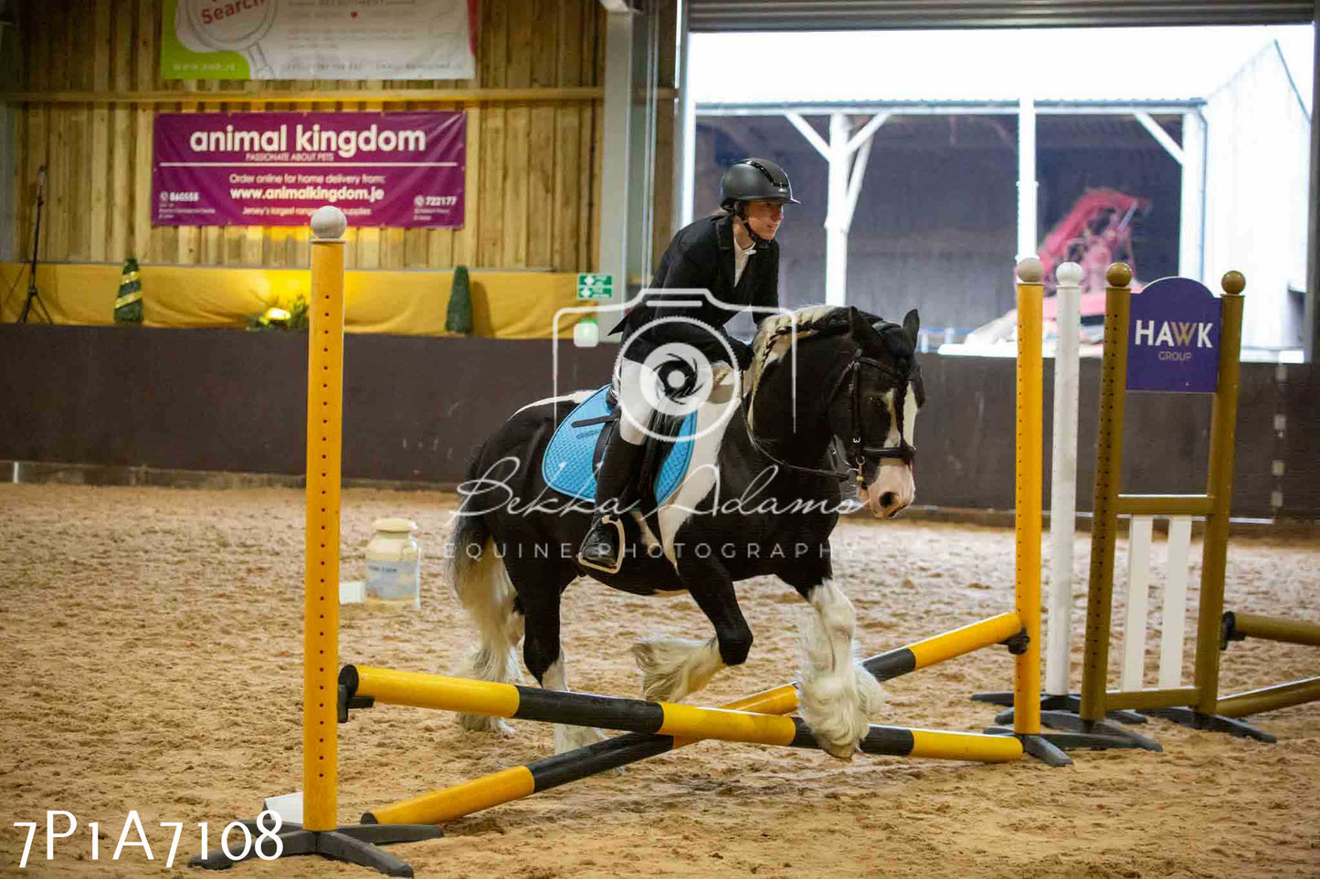 JHOYS 2023 - 16th September - Show Jumping Pt 2