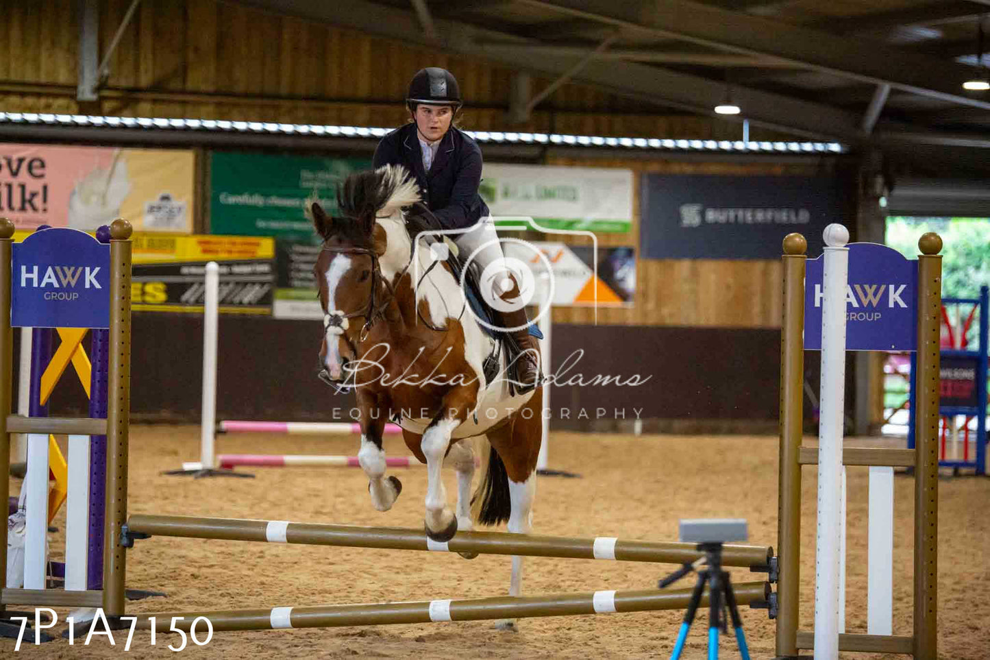 JHOYS 2023 - 16th September - Show Jumping Pt 2