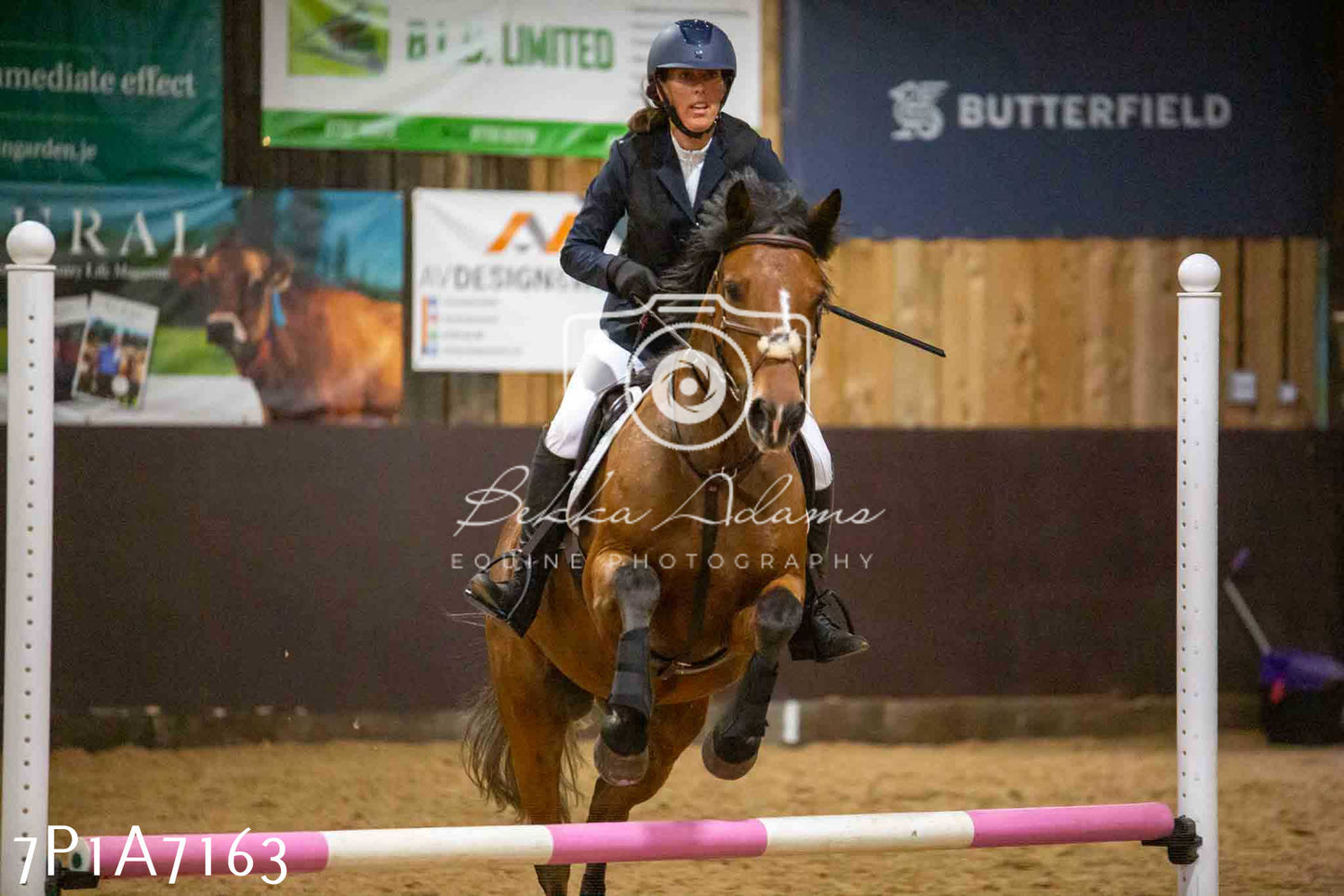 JHOYS 2023 - 16th September - Show Jumping Pt 2