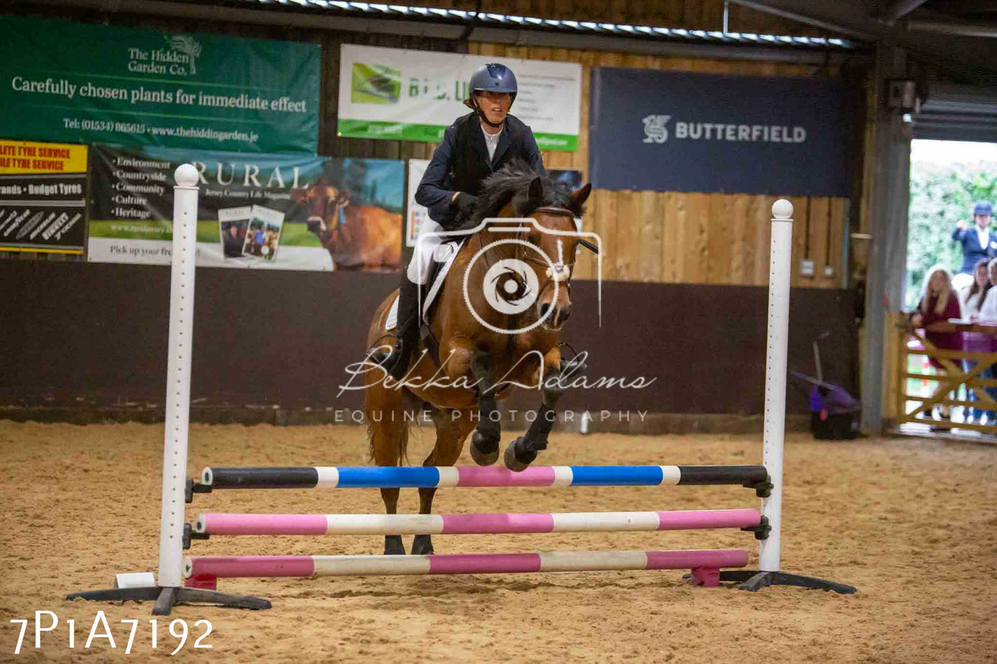 JHOYS 2023 - 16th September - Show Jumping Pt 2