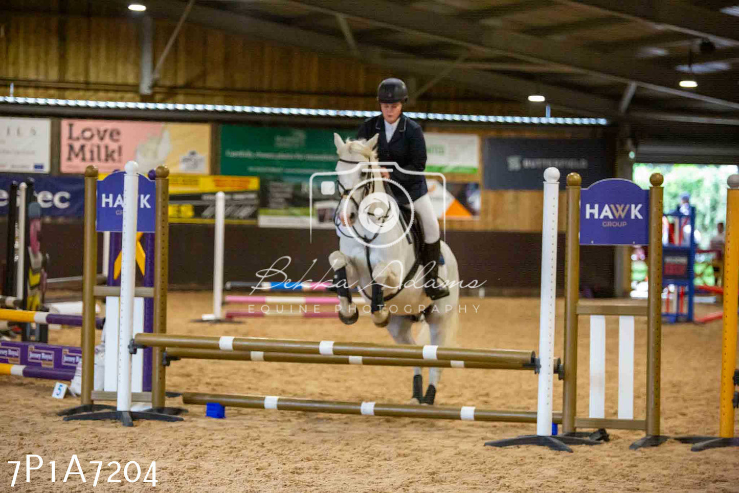 JHOYS 2023 - 16th September - Show Jumping Pt 2