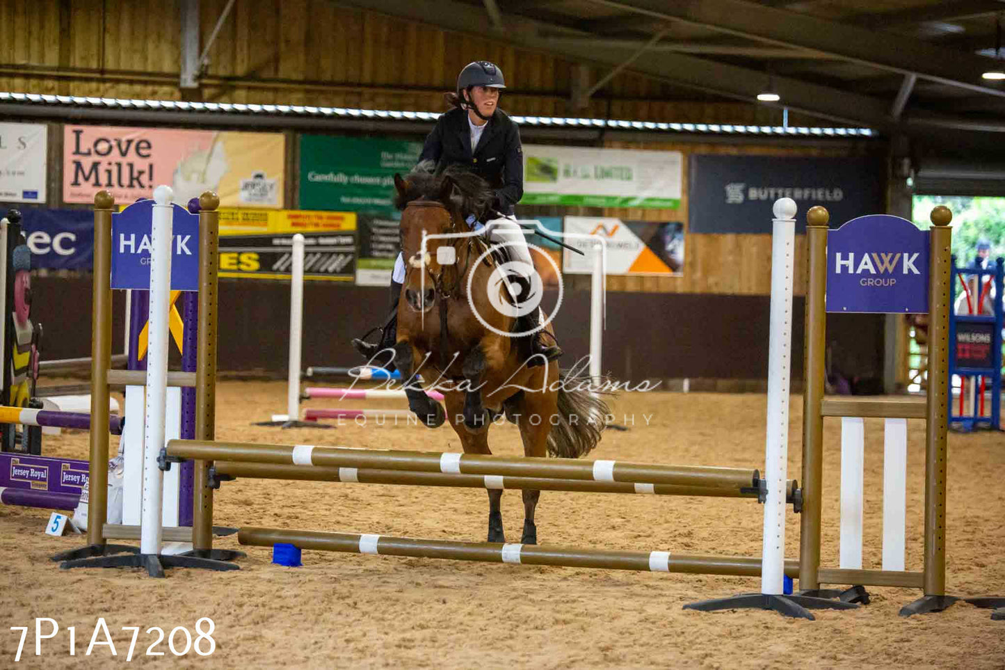 JHOYS 2023 - 16th September - Show Jumping Pt 2