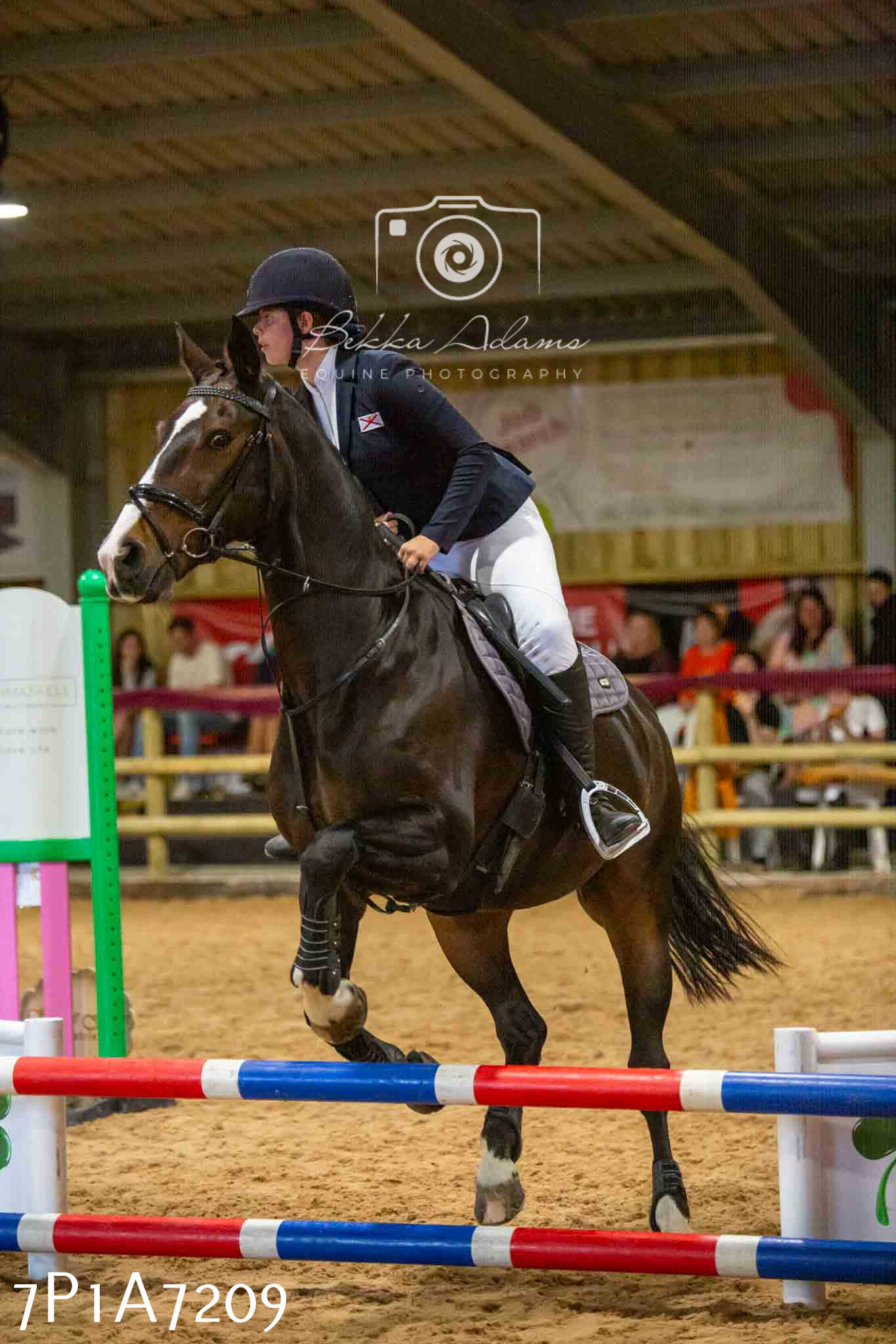 JHOYS 2023 - 16th September - Show Jumping Pt 2