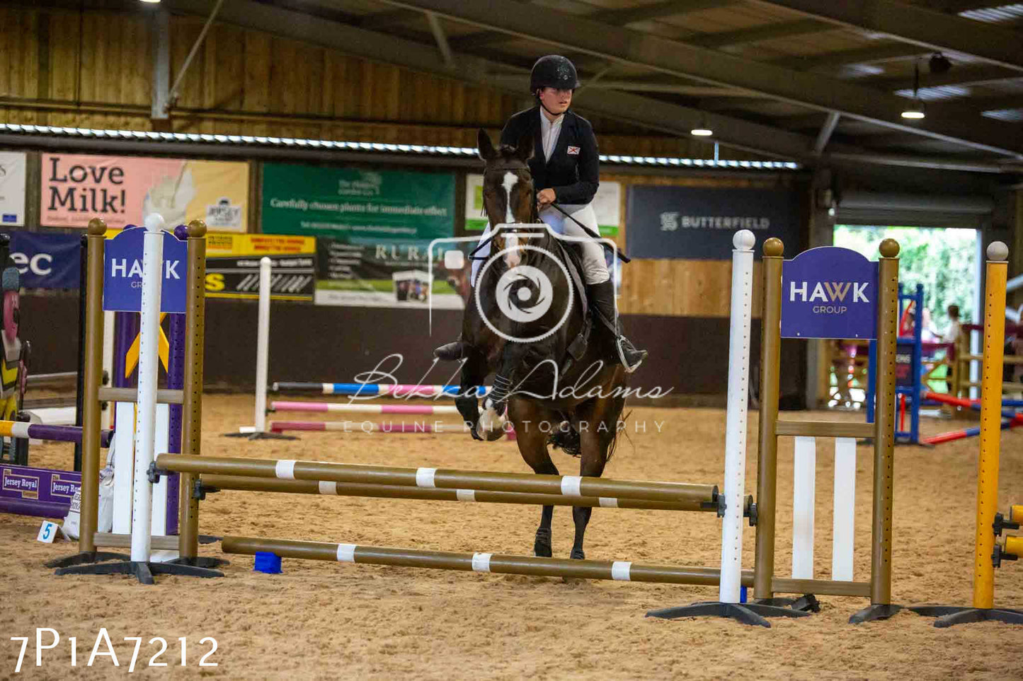 JHOYS 2023 - 16th September - Show Jumping Pt 2