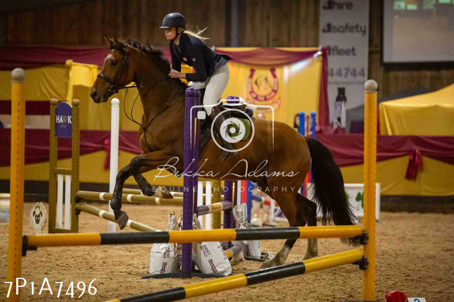 JHOYS 2023 - 16th September - Teams Jumping