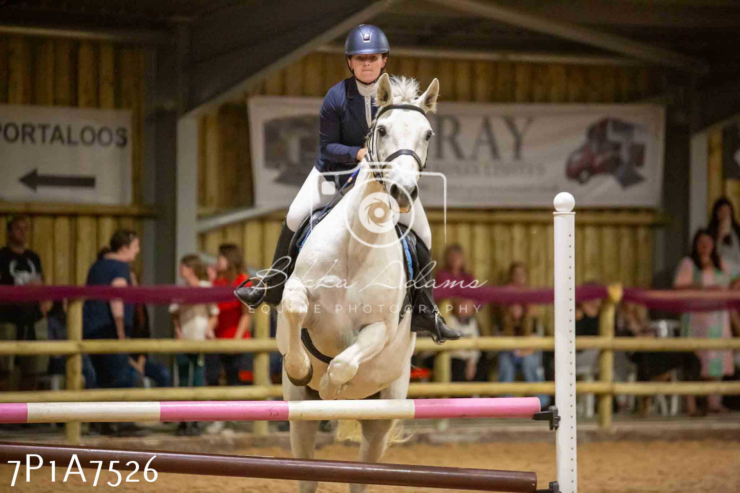 JHOYS 2023 - 16th September - Teams Jumping