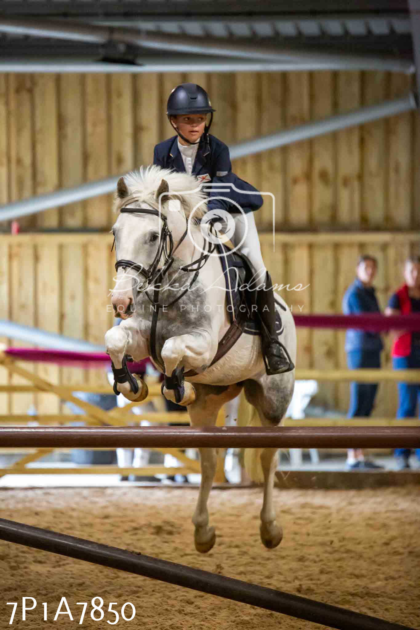 JHOYS 2023 - 17th September - Show Jumping Pt2