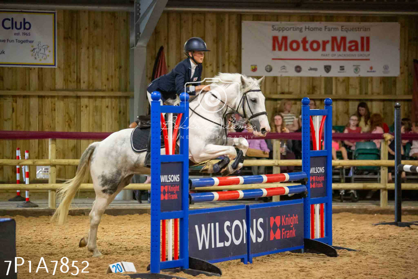 JHOYS 2023 - 17th September - Show Jumping Pt2