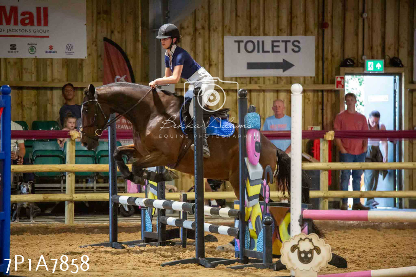 JHOYS 2023 - 17th September - Show Jumping Pt2