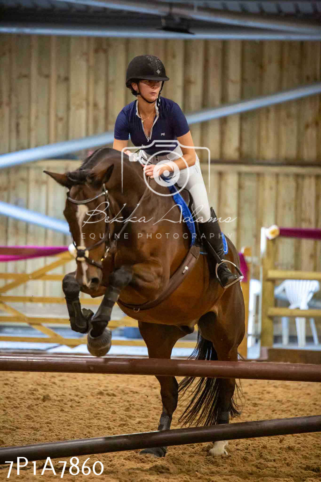 JHOYS 2023 - 17th September - Show Jumping Pt2