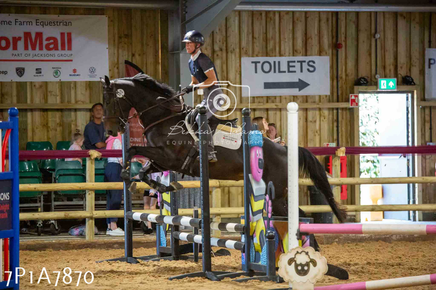 JHOYS 2023 - 17th September - Show Jumping Pt2