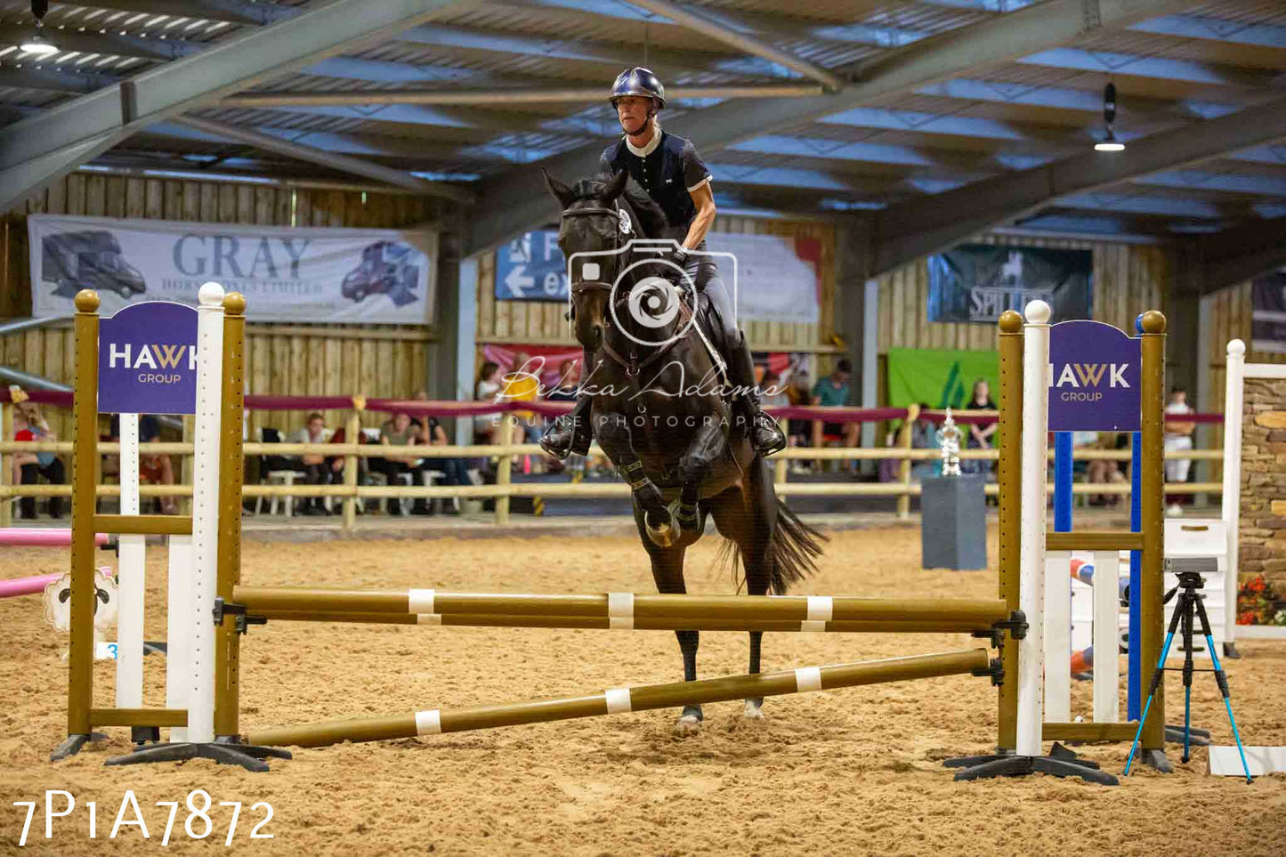 JHOYS 2023 - 17th September - Show Jumping Pt2