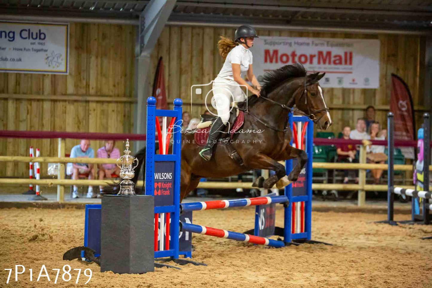 JHOYS 2023 - 17th September - Show Jumping Pt2