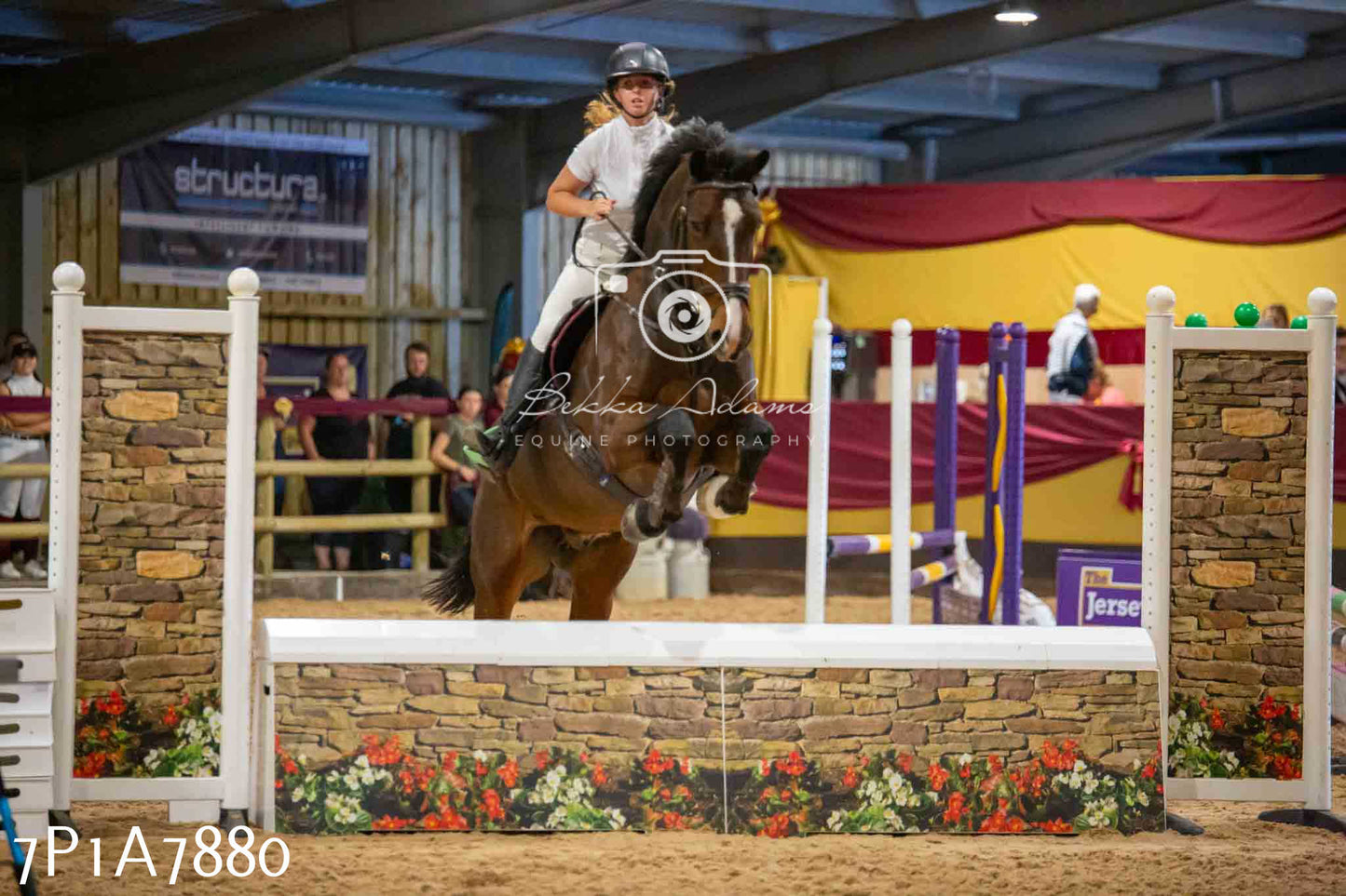 JHOYS 2023 - 17th September - Show Jumping Pt2