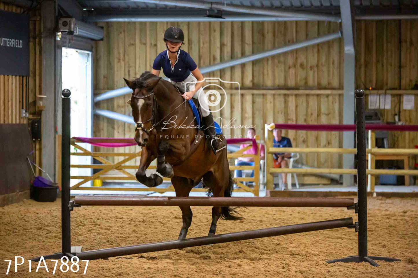 JHOYS 2023 - 17th September - Show Jumping Pt2