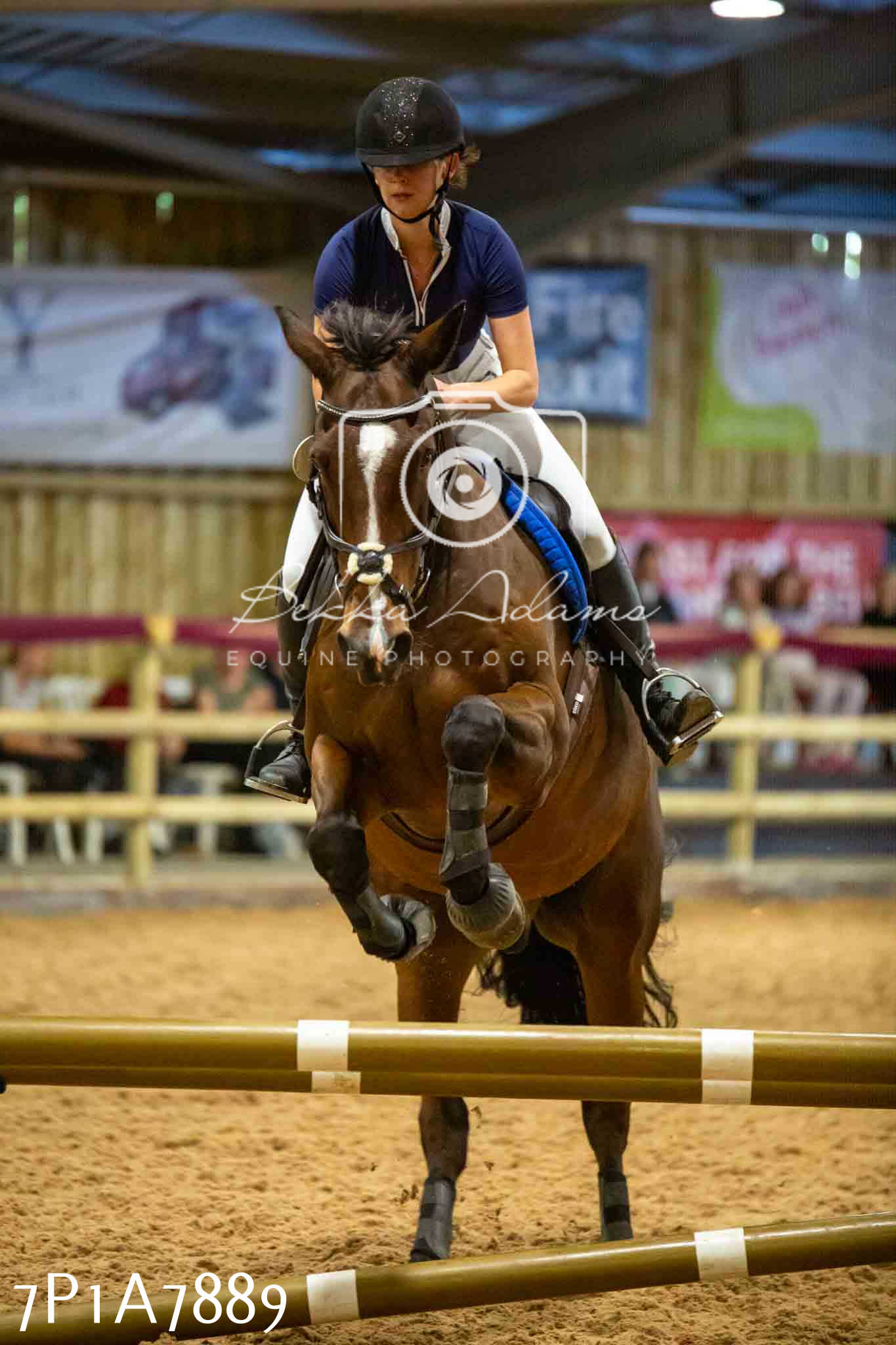 JHOYS 2023 - 17th September - Show Jumping Pt2