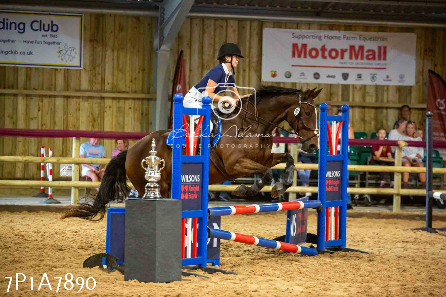 JHOYS 2023 - 17th September - Show Jumping Pt2