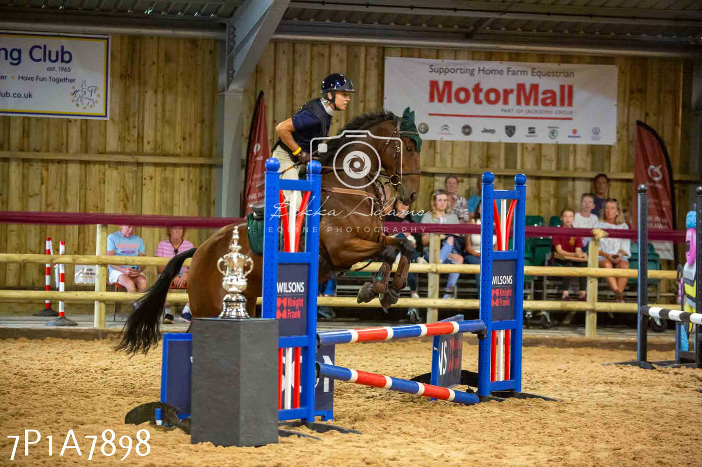 JHOYS 2023 - 17th September - Show Jumping Pt2