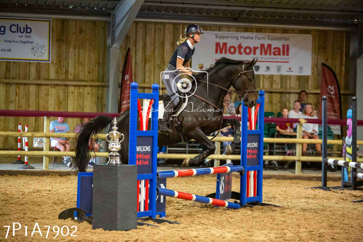 JHOYS 2023 - 17th September - Show Jumping Pt2