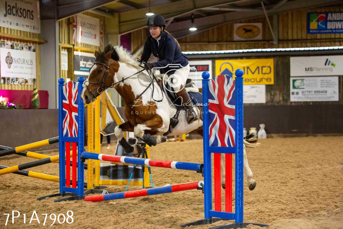 JHOYS 2023 - 17th September - Show Jumping Pt2