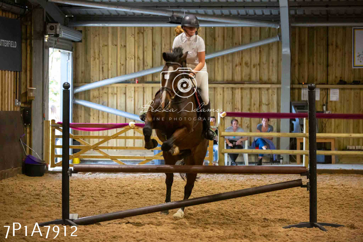 JHOYS 2023 - 17th September - Show Jumping Pt2