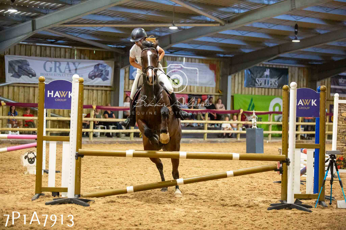 JHOYS 2023 - 17th September - Show Jumping Pt2