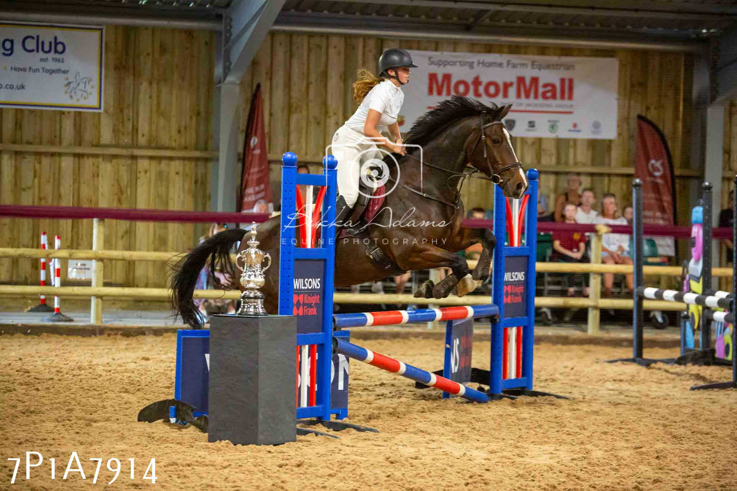 JHOYS 2023 - 17th September - Show Jumping Pt2