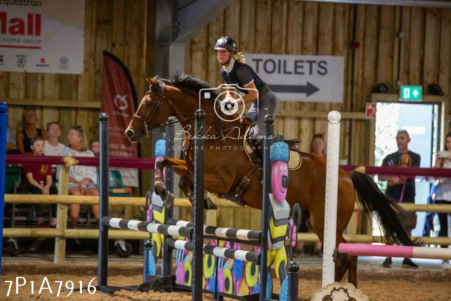 JHOYS 2023 - 17th September - Show Jumping Pt2