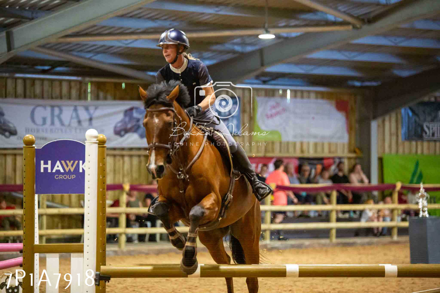 JHOYS 2023 - 17th September - Show Jumping Pt2